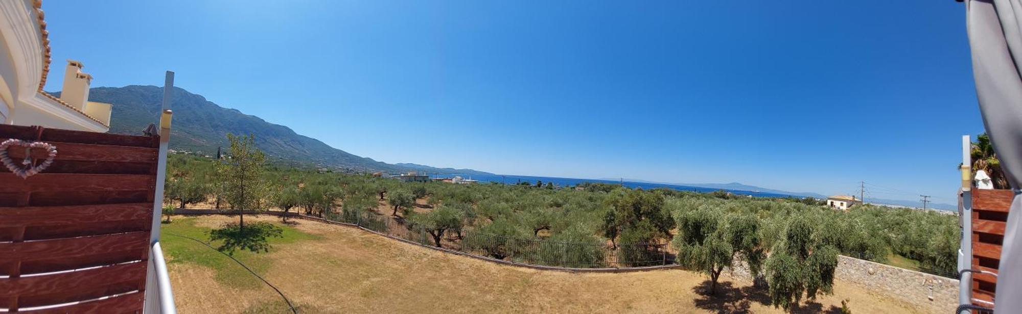 Elea Apartments Kalamata Cameră foto